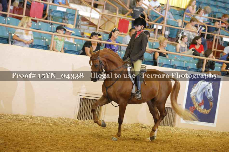Proof 15YN_04338
