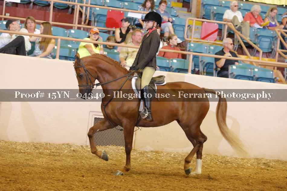Proof 15YN_04340