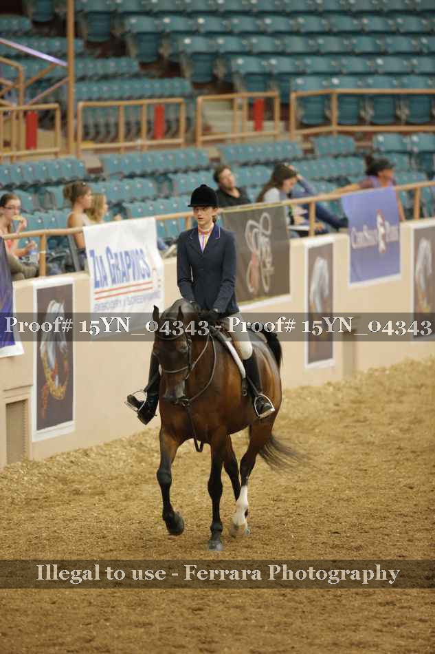 Proof 15YN_04343