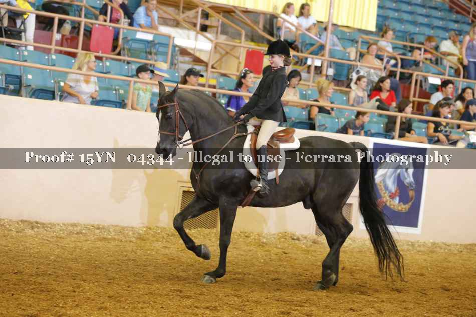 Proof 15YN_04344
