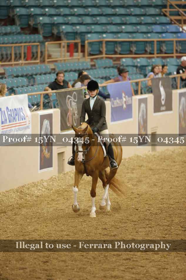 Proof 15YN_04345