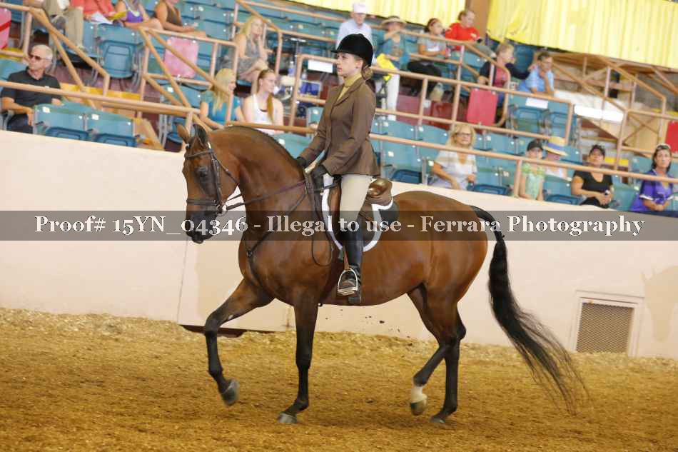 Proof 15YN_04346