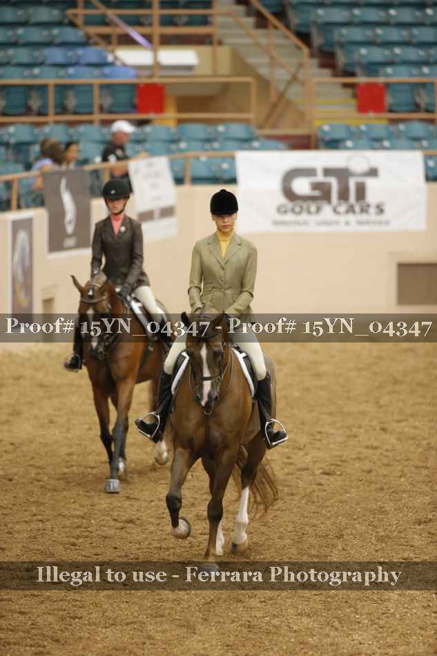 Proof 15YN_04347