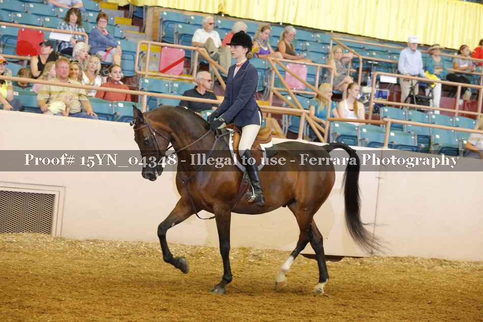 Proof 15YN_04348
