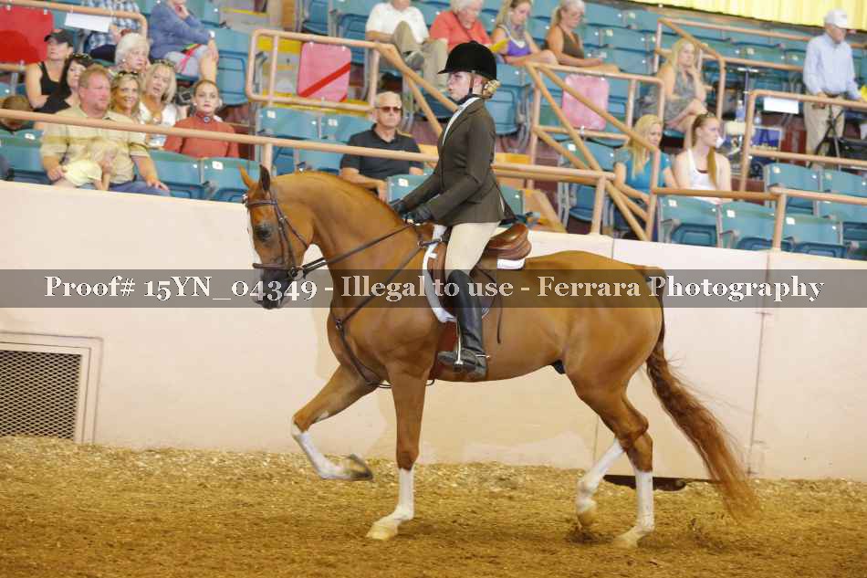 Proof 15YN_04349