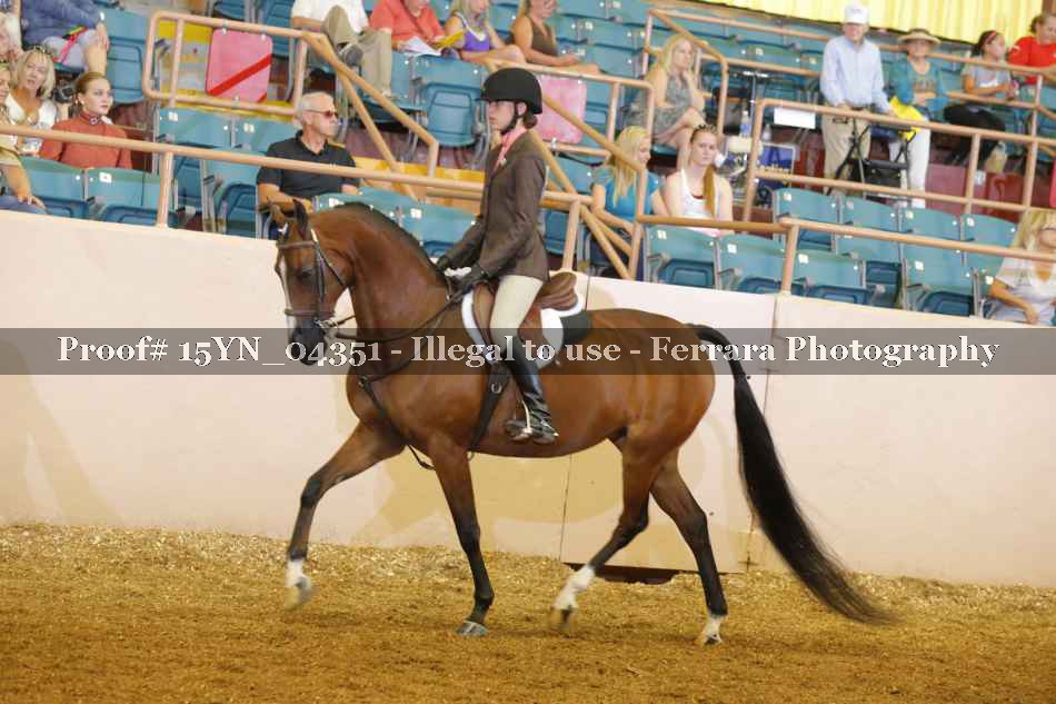 Proof 15YN_04351