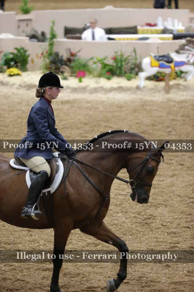 Proof 15YN_04353