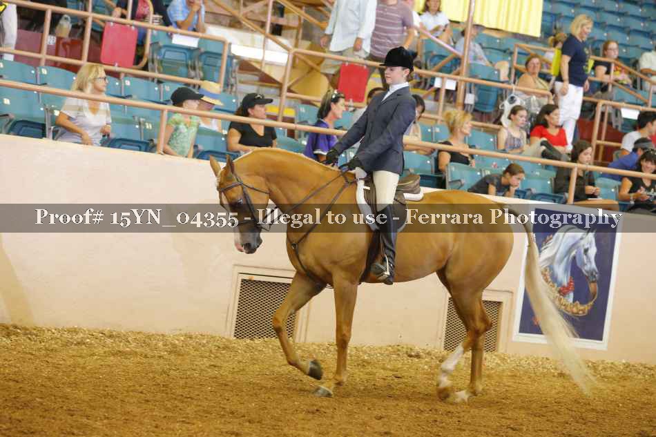 Proof 15YN_04355