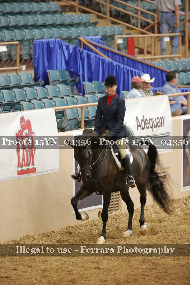 Proof 15YN_04356