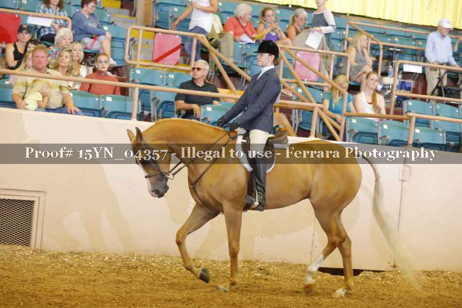 Proof 15YN_04357