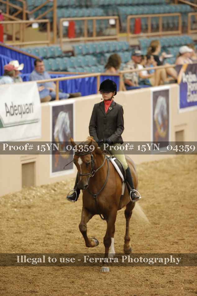 Proof 15YN_04359