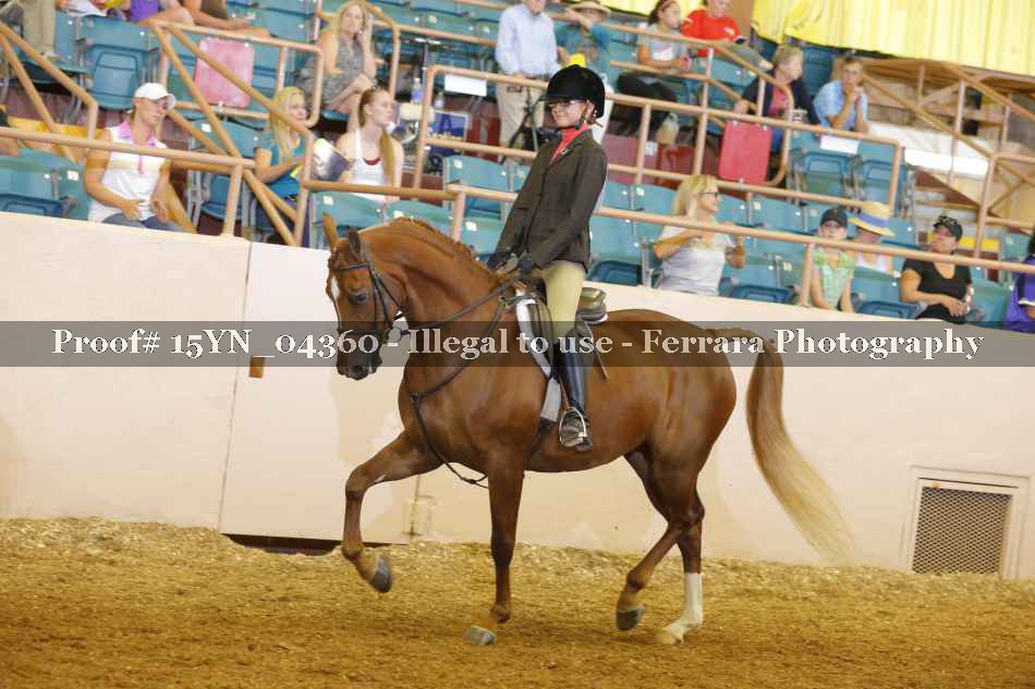 Proof 15YN_04360