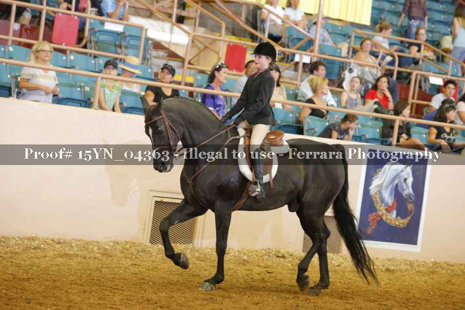 Proof 15YN_04363