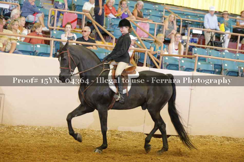 Proof 15YN_04364
