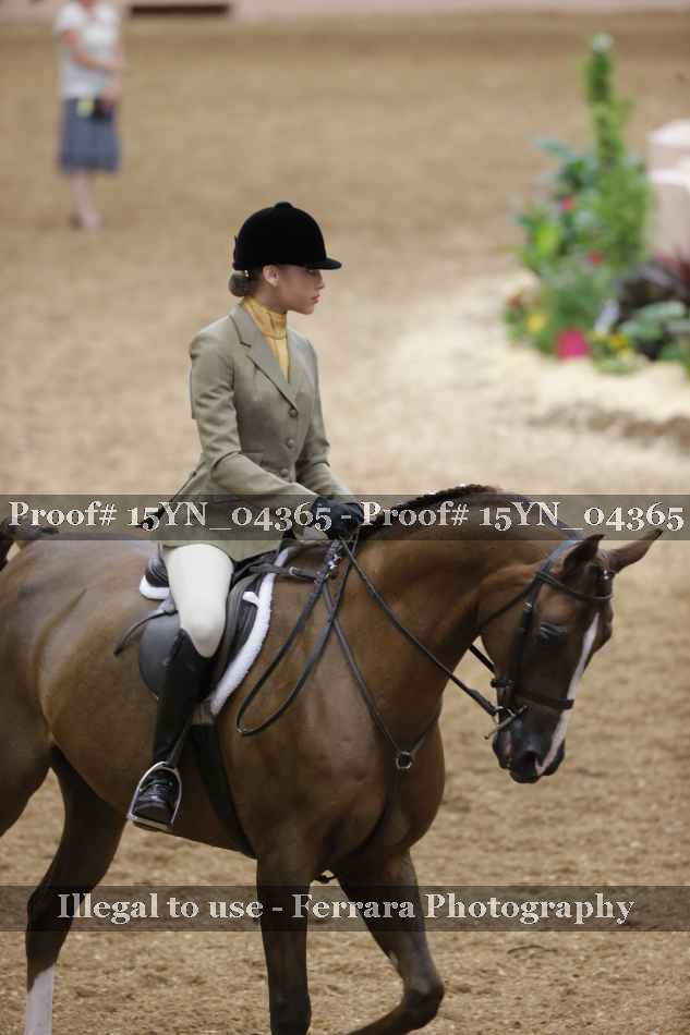 Proof 15YN_04365