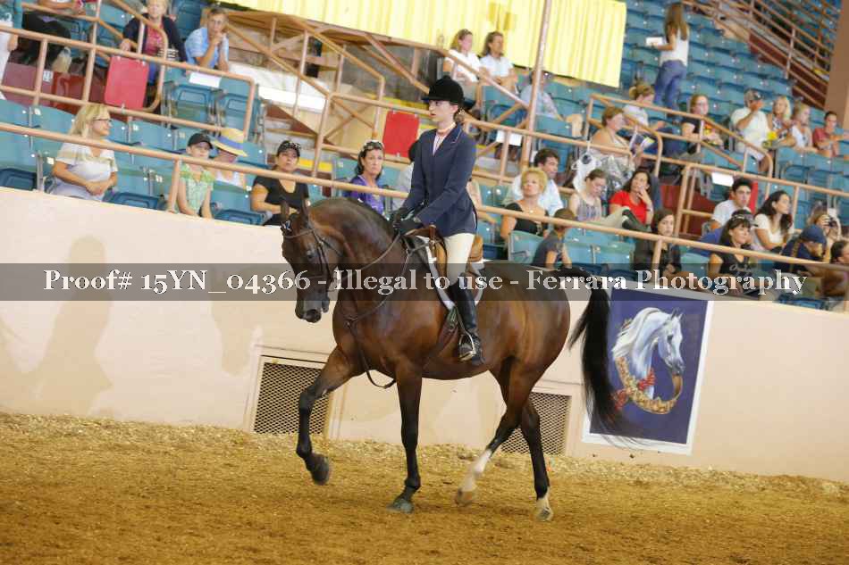 Proof 15YN_04366