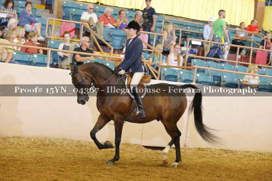 Proof 15YN_04367