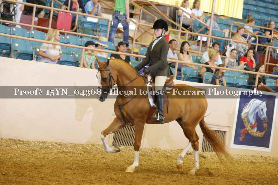 Proof 15YN_04368