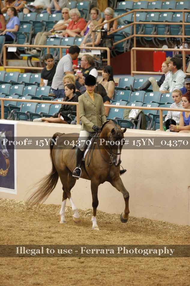 Proof 15YN_04370