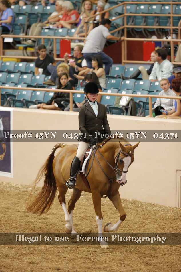 Proof 15YN_04371