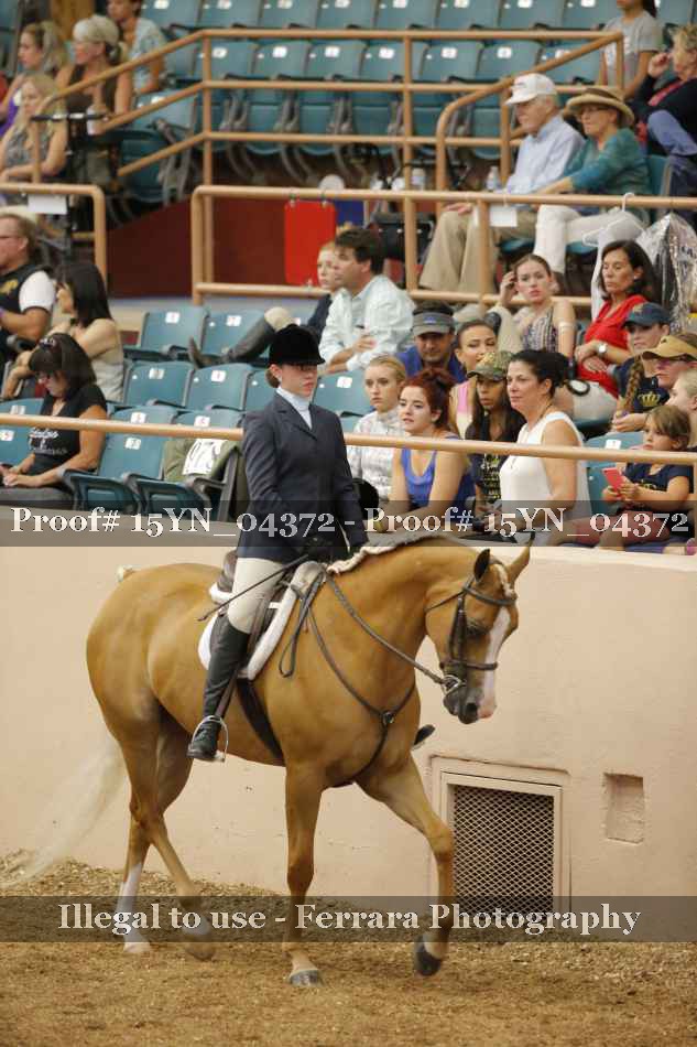Proof 15YN_04372