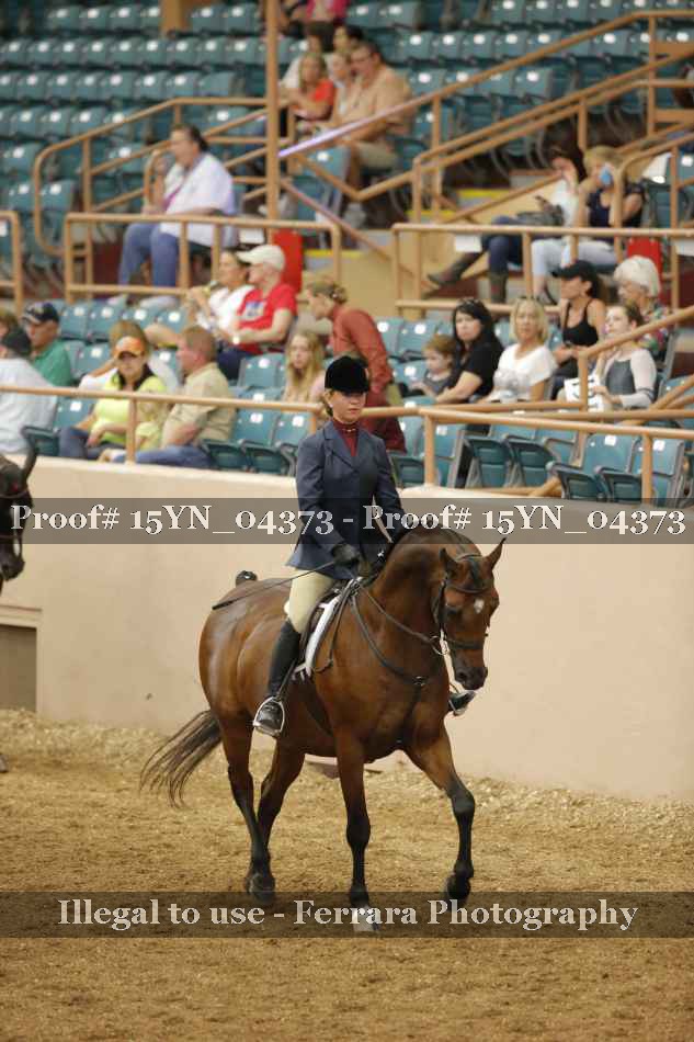 Proof 15YN_04373