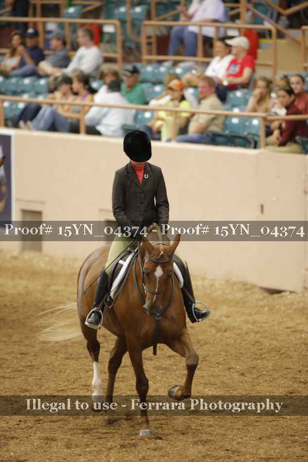 Proof 15YN_04374