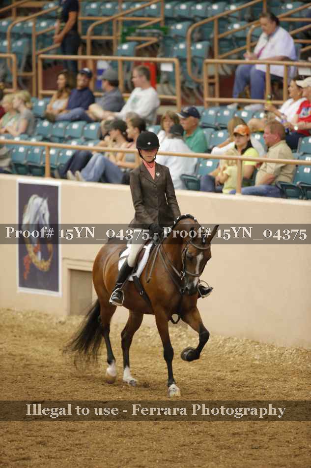 Proof 15YN_04375