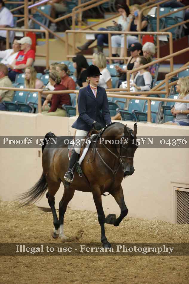 Proof 15YN_04376