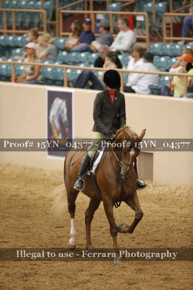 Proof 15YN_04377