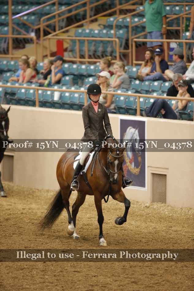Proof 15YN_04378