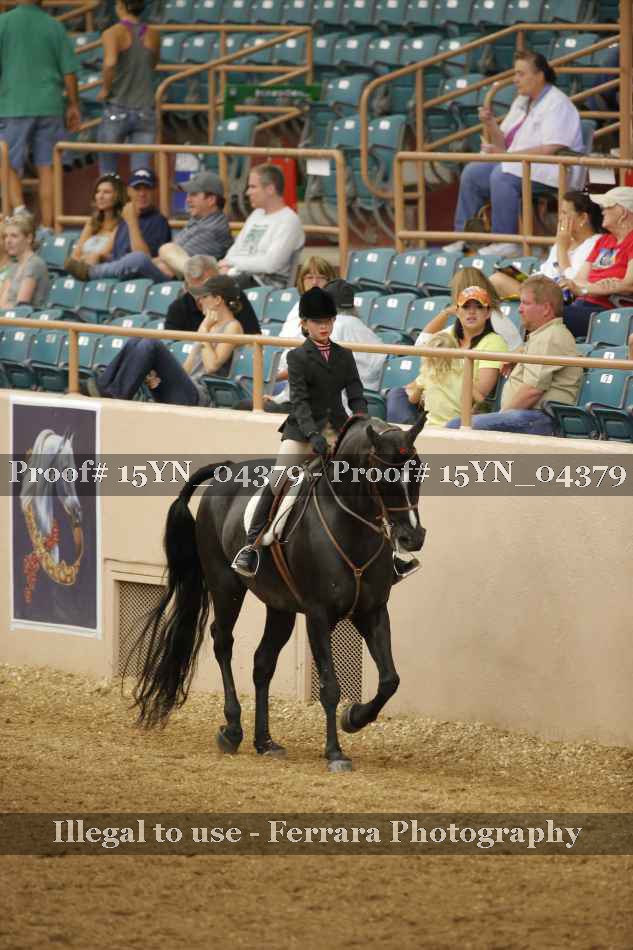 Proof 15YN_04379