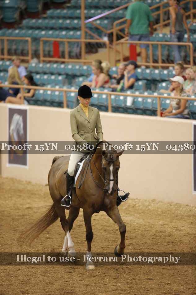 Proof 15YN_04380