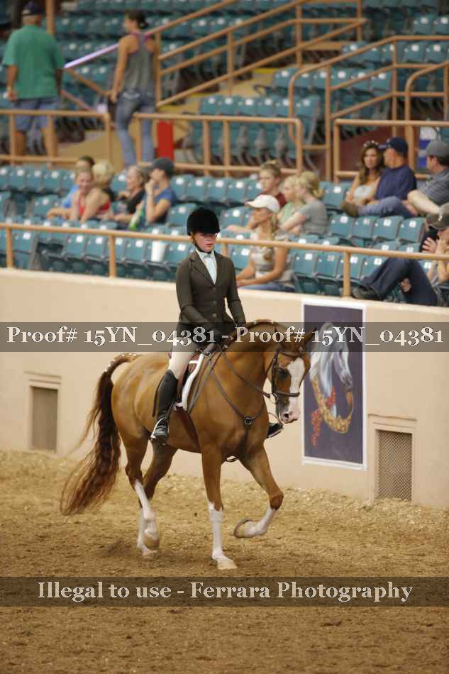 Proof 15YN_04381