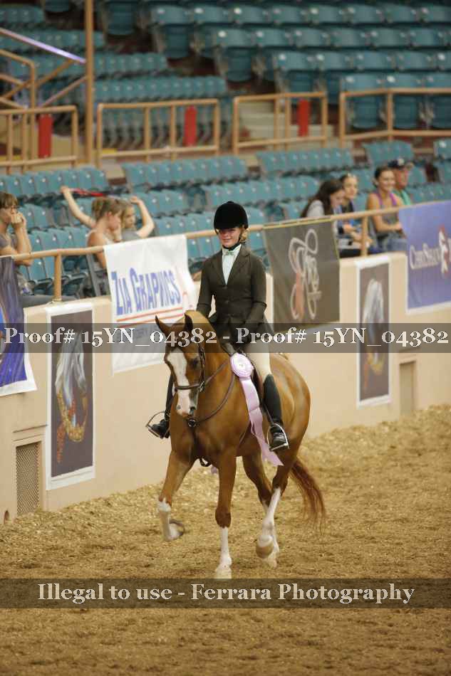 Proof 15YN_04382