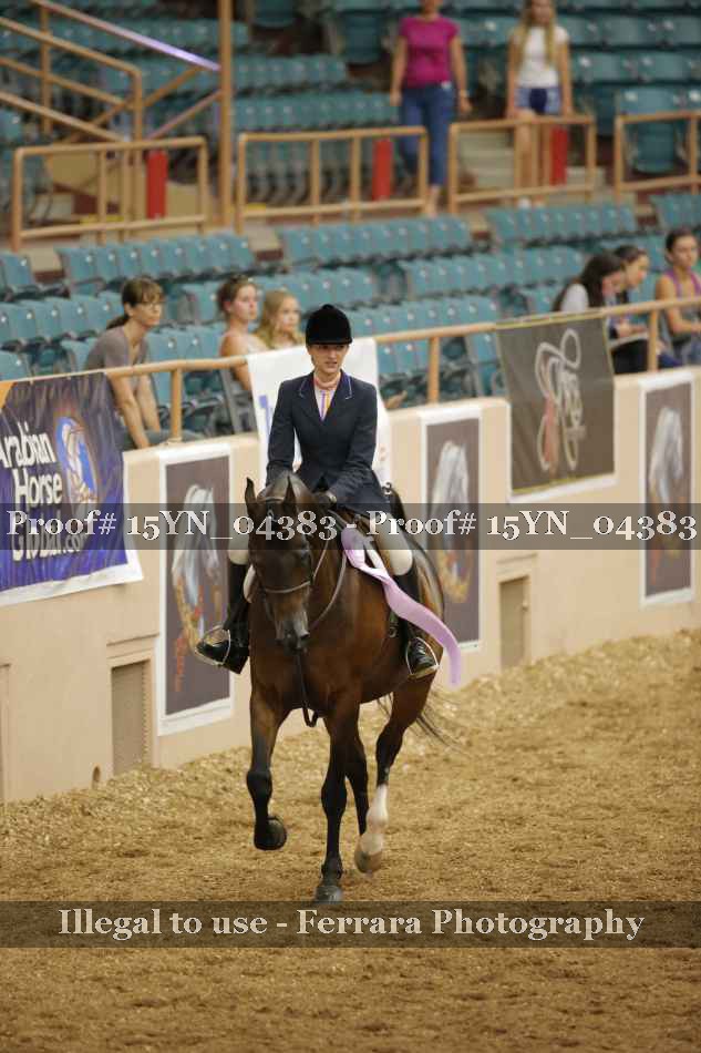 Proof 15YN_04383