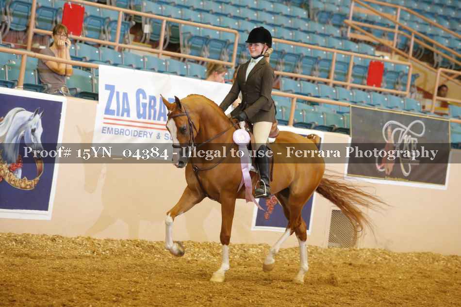 Proof 15YN_04384