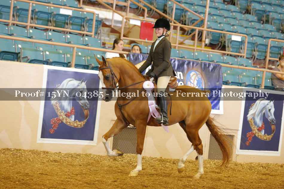 Proof 15YN_04385