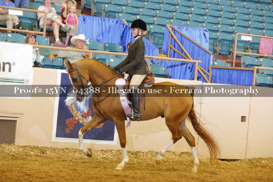 Proof 15YN_04388