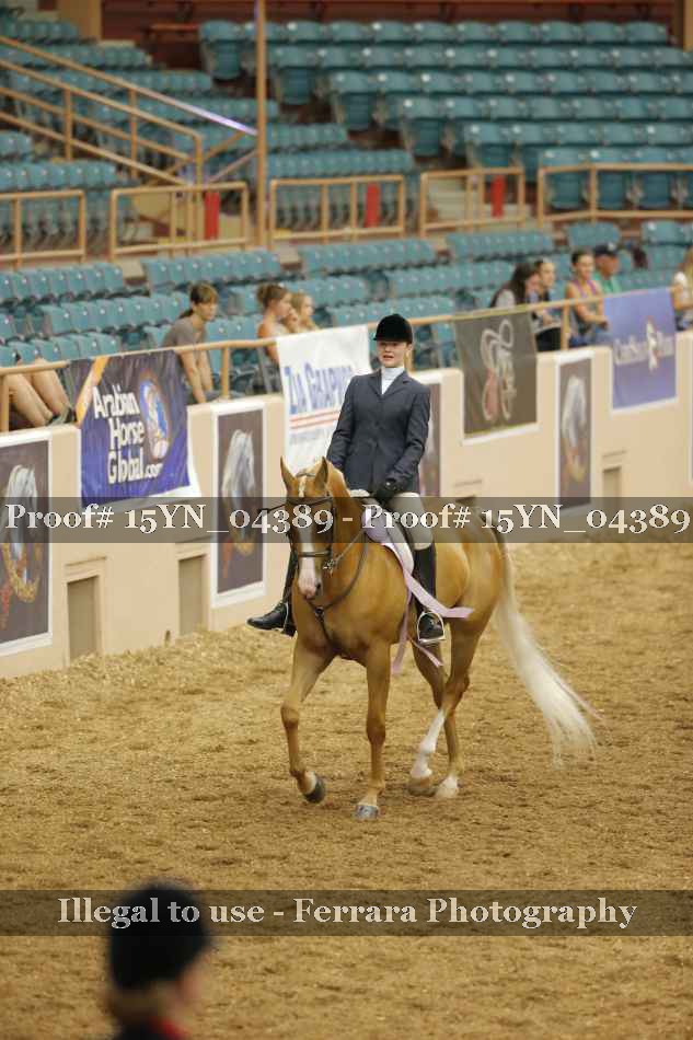 Proof 15YN_04389