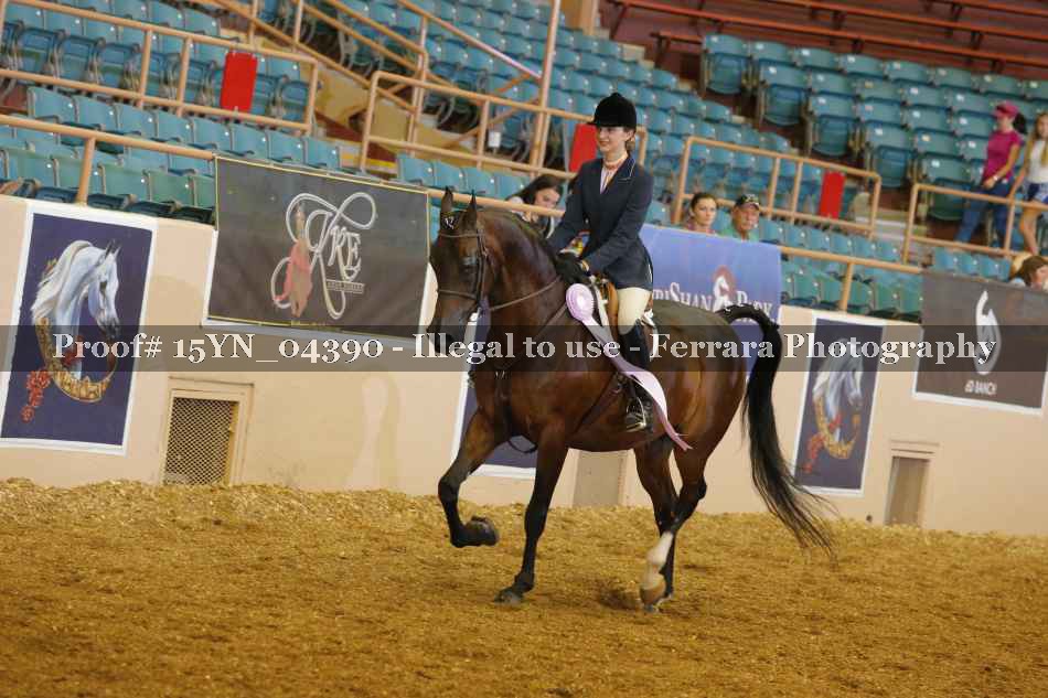 Proof 15YN_04390