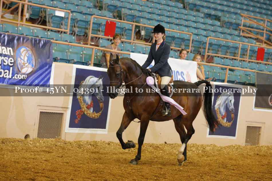 Proof 15YN_04391