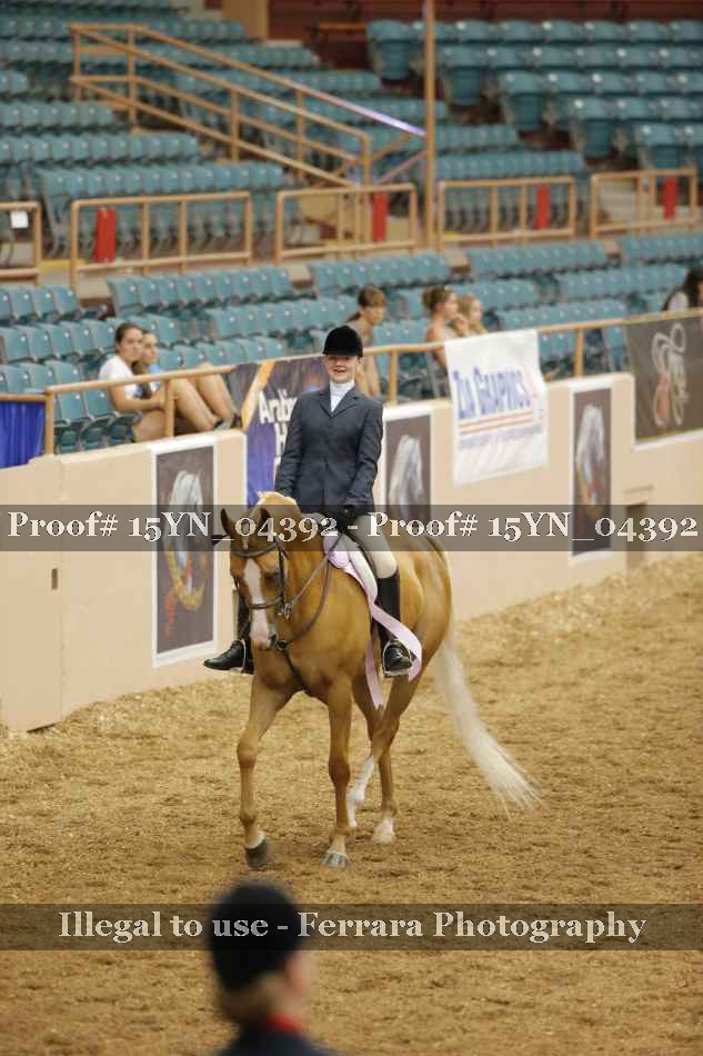 Proof 15YN_04392