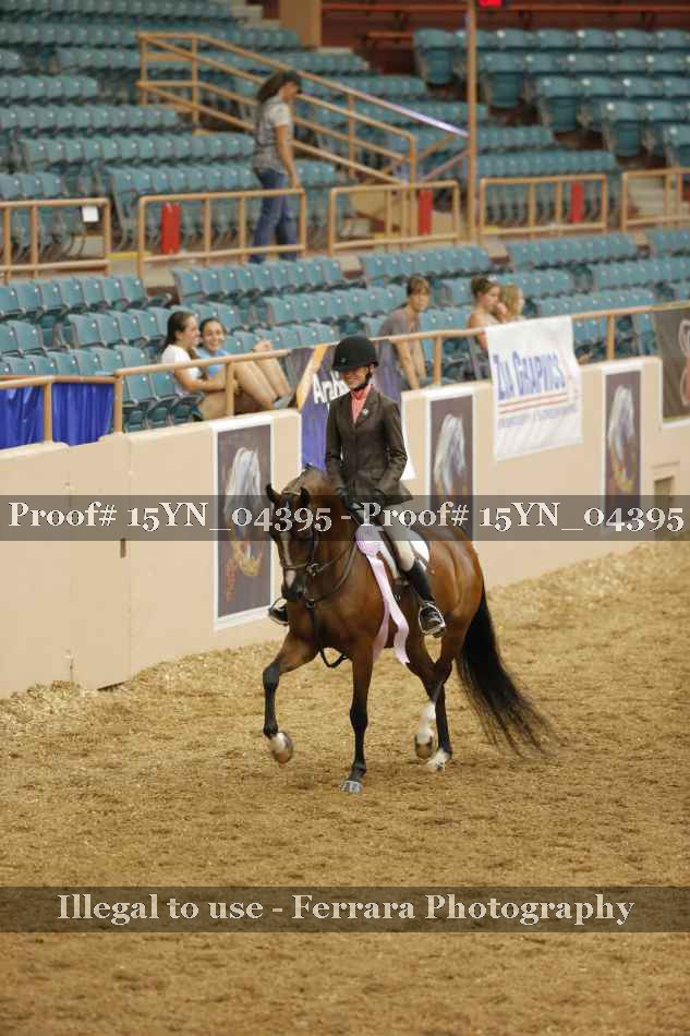 Proof 15YN_04395
