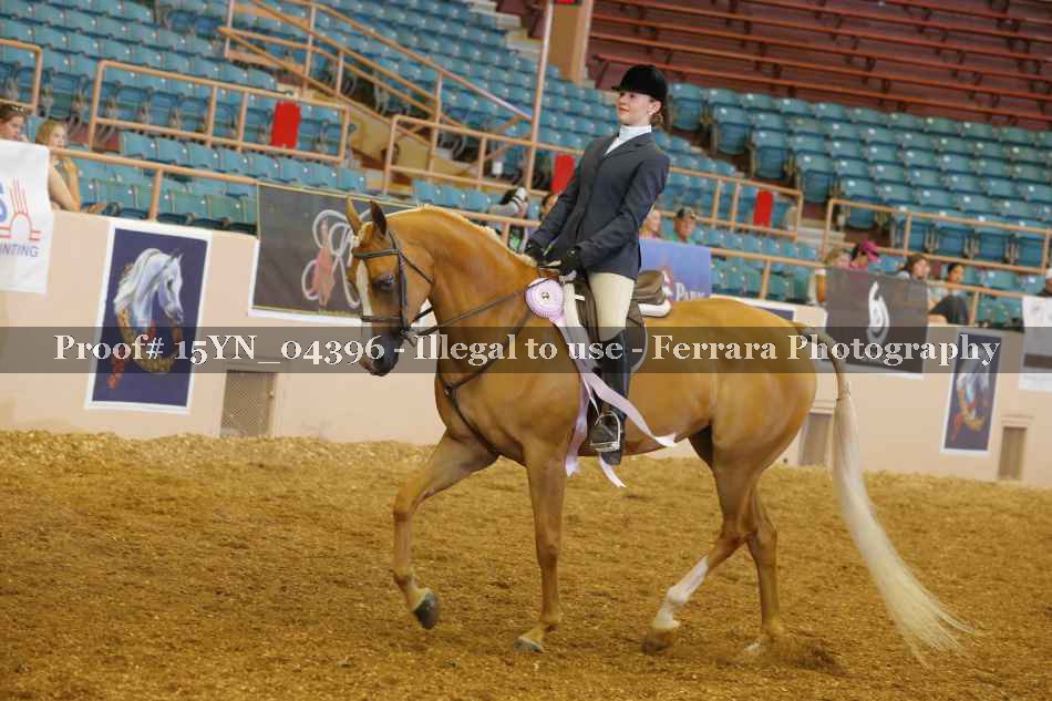 Proof 15YN_04396