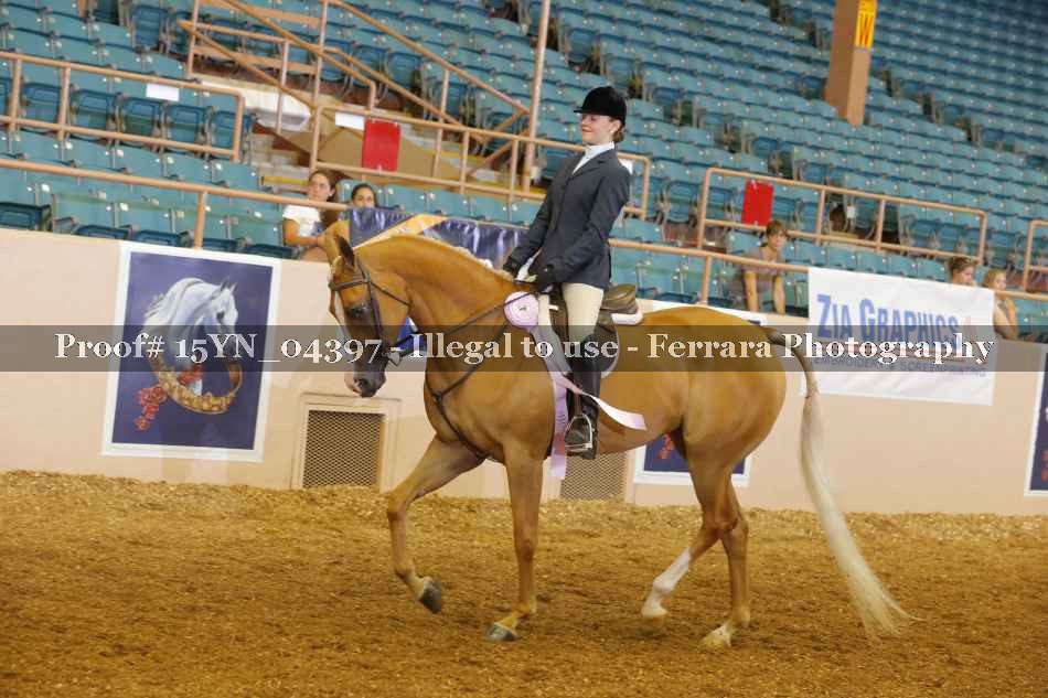Proof 15YN_04397