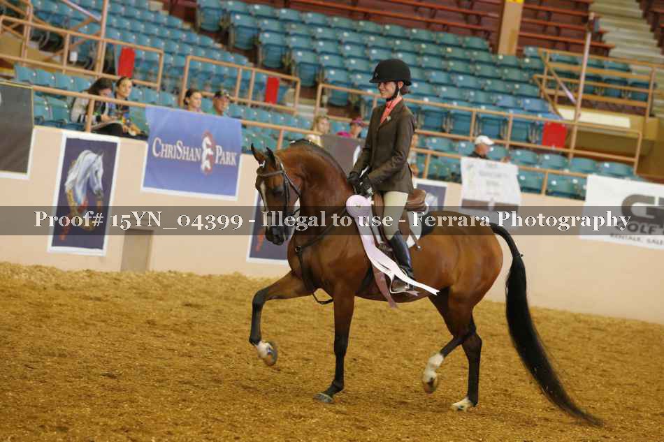 Proof 15YN_04399