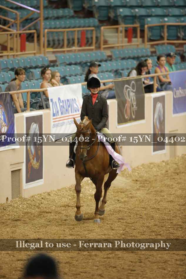 Proof 15YN_04402