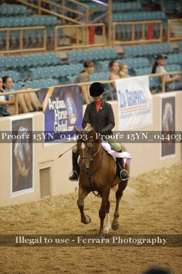 Proof 15YN_04403