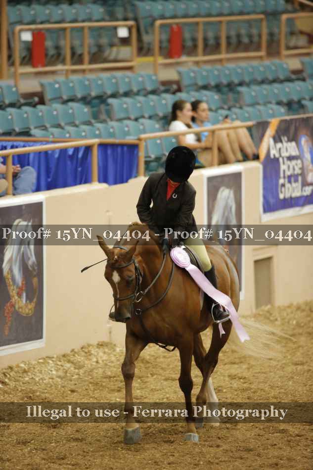 Proof 15YN_04404